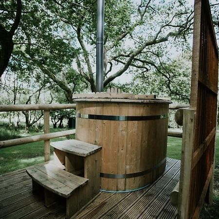 Oak Special Winter Offers - Hot Tub & Log Burner Apartment Barmouth Exterior photo