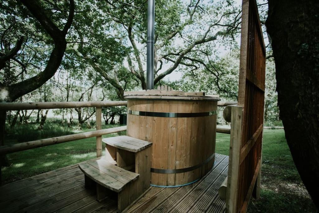 Oak Special Winter Offers - Hot Tub & Log Burner Apartment Barmouth Exterior photo